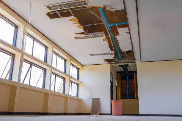 Best Emergency water damage restoration  in Spring Lake Park, MN