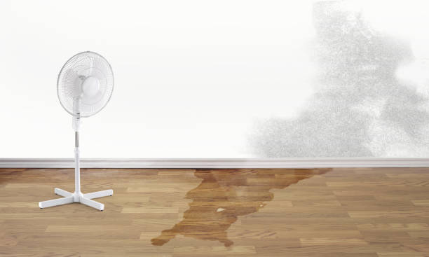 , MN Water damage restoration Company