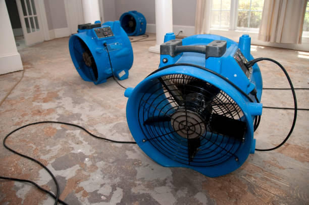 Best 24-hour water damage restoration  in Spring Lake Park, MN