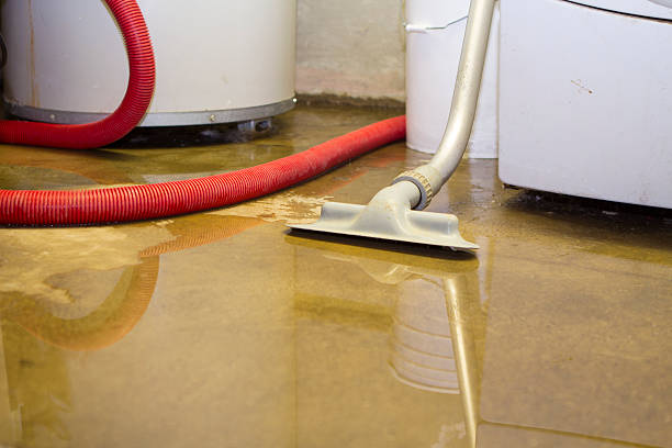 Best Flood damage cleanup  in Spring Lake Park, MN