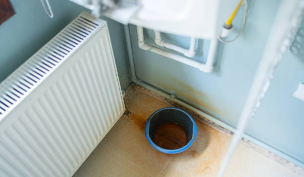 Best Sewage cleanup and water damage restoration  in Spring Lake Park, MN