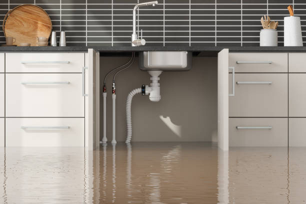 Best Water damage restoration near me  in Spring Lake Park, MN