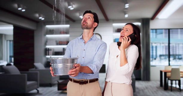 Best Emergency water damage restoration  in Spring Lake Park, MN