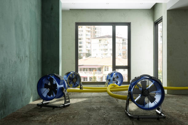 Best Water damage restoration insurance claims  in Spring Lake Park, MN