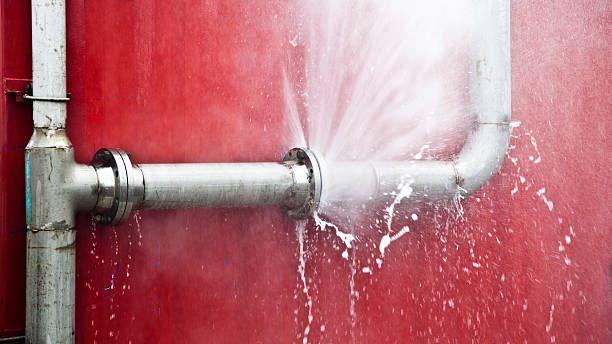 Best Water damage cleanup near me  in Spring Lake Park, MN